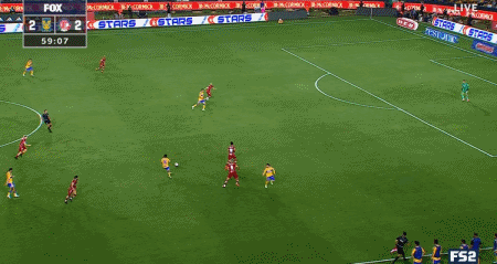 PINNACLE介绍图片