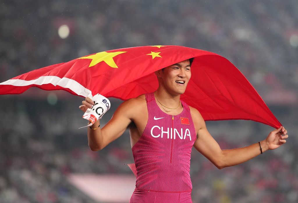 PINNACLE介绍图片