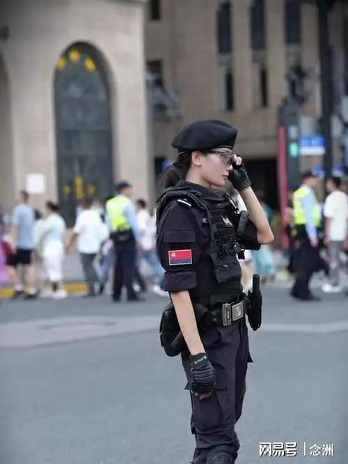 专业PINNACLE服务