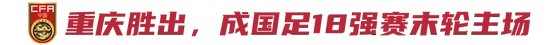 PINNACLE详情图