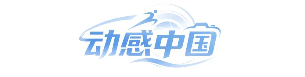 专业PINNACLE服务